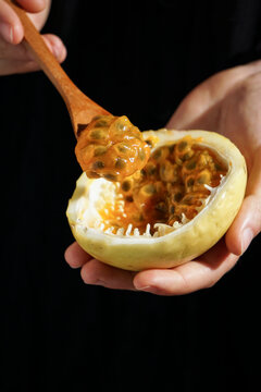 fresh passion fruit, Passiflora ligularis, sweet granadilla or grenadiain the hands eating, orange and lack