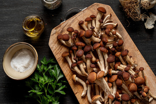 Poplar mushrooms  on wooden table.