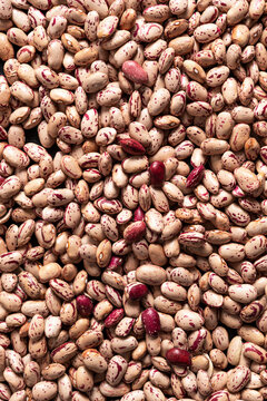 Closeup of borlotti beans
