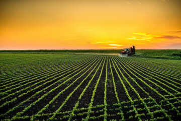 Farmer spraying pesticides on soybean field at sunset