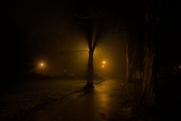 Dimly lit park at night with streetlights glowing through dense fog and wet pathways.