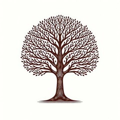 Fototapeta premium Stylized tree illustration with intricate branches.