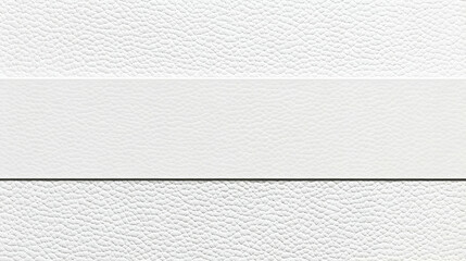 Fototapeta premium White Leather Texture Background, Seamless Grain Pattern with Horizontal Band