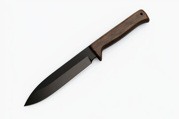 A knife with a wooden handle is shown on a white background