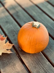 Orange pumpkin on a wooden dock. Photo taken on a phone