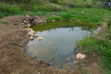 Serene Natural Pond Surrounded by Grass and Stones