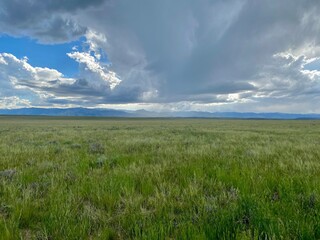 Fototapeta premium Wyoming Open Spaces