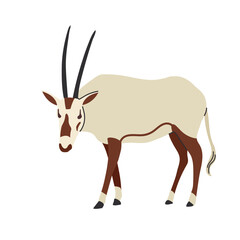 Arabian oryx icon clipart avatar logotype isolated illustration