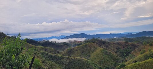 Ganadería y destrucción del ecosistema