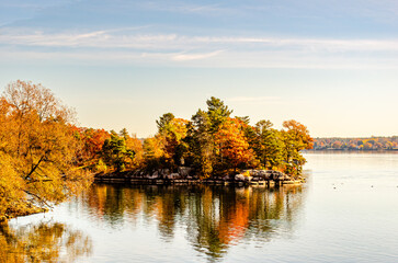 fall colors  in the bright morning sun on an island in the ST. Lawrence River