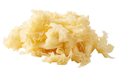 coral mushroom cut out isolated transparent background