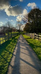 Path between wooden fences for animals.