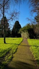 Path in the park. morning walk among the trees. Blue sky, green grass. A walk in the park of England
