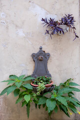 Blumendekoration an einer Hausfassade, Galatina