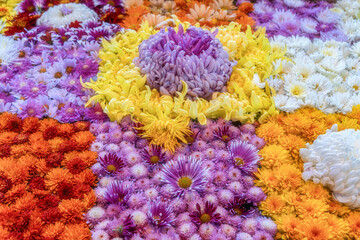 笠間稲荷神社の菊祭り
