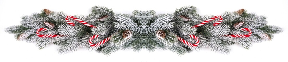 Christmas banner fir on white