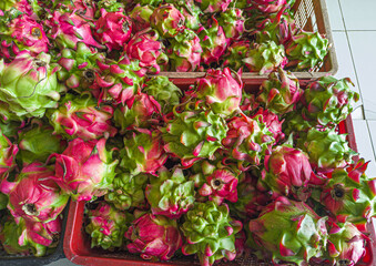 Dragon fruits are of the cactus genus Hylocereus and Selenicereus. A pile of red dragon fruits in a shop basket. Focus on fruit, noisy, similar others