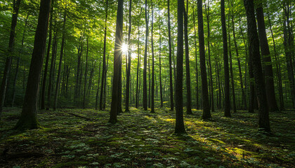 Obraz premium Minimalist background for creative design