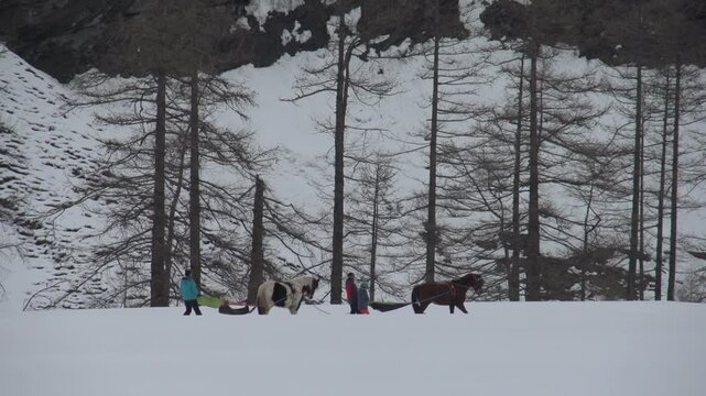 Ski Joering