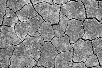 Old wall texture smeared engine oil cement dark black gray  background abstract grey color design are light with white gradient background.