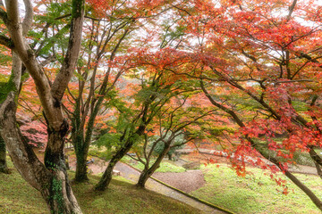 栃木県　佐久山御殿山紅葉祭り
