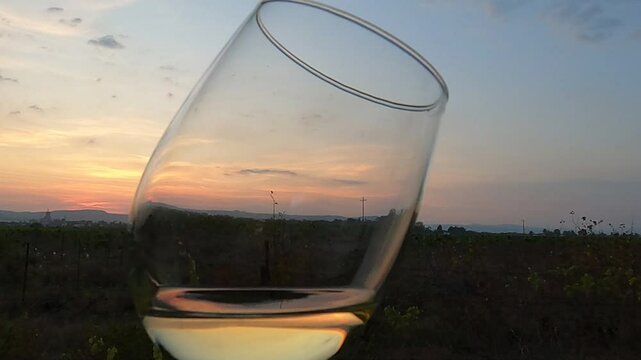 COPA TRANSPARENTE PARA CATA DE VINO EN VI&Ntilde;EDO AL ATARDECER