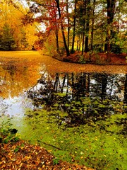 Autumn at the Lake