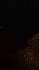 Nightsky