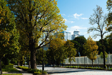 公園からみる都会の風景