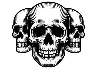 Fototapeta premium three skulls arranged together, symbolizing mortality, unity, and timeless artistry sketch engraving generative ai PNG illustration. Scratch board imitation. Black and white image.