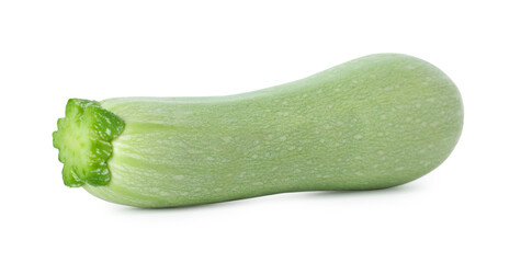 One fresh ripe zucchini isolated on white