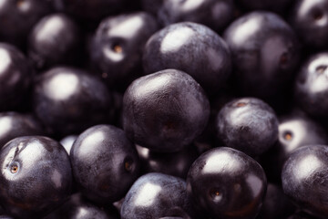 Ripe acai berries as background, closeup view