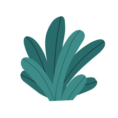 Flat Weed