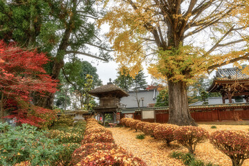 茨城県大子町　高徳寺の紅葉風景
