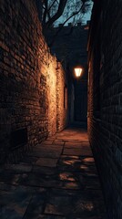 Narrow, dimly lit alleyway with brick walls and a street lamp.