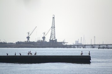 La industria petrolera es la mayor actividad industrial en el estado Zulia.