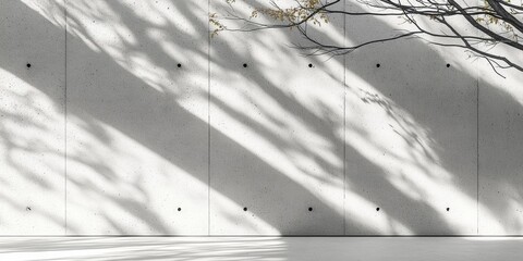 Minimalist White Textured Concrete Wall with Tree Shadows Abstract Background