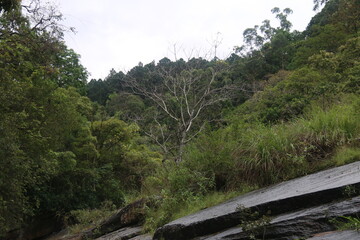 Obraz premium Beautiful landscape photos from Sri Lanka. 