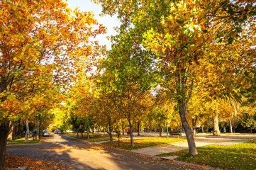 A neighborhood during the fall season in the La Dehesa area, Lo Barnechea, Santiago, Chile