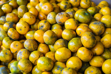 Close-up of a pile of fresh, ripe oranges. The vibrant colors and textures are showcased beautifully. A Close-Up View of A Bountiful Harvest of Fresh Oranges Background.