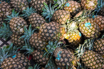 Close-up view of many pineapples, showcasing their texture and color. A vibrant display of tropical abundance. A Bountiful Pineapples Harvest.