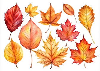 Autumn Watercolor Leaves Long Exposure Photography - Orange Red Fall Foliage Illustrations