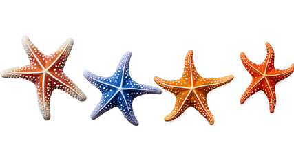 starfish isolated on png, Starfish isolated on a clean PNG background, showcasing the detailed texture and natural beauty of a marine creature, ideal for beach-themed designs, ocean-inspired visuals, 