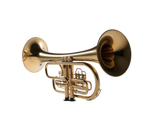 Obraz premium Golden tuba with shiny finish, perfect for music enthusiasts