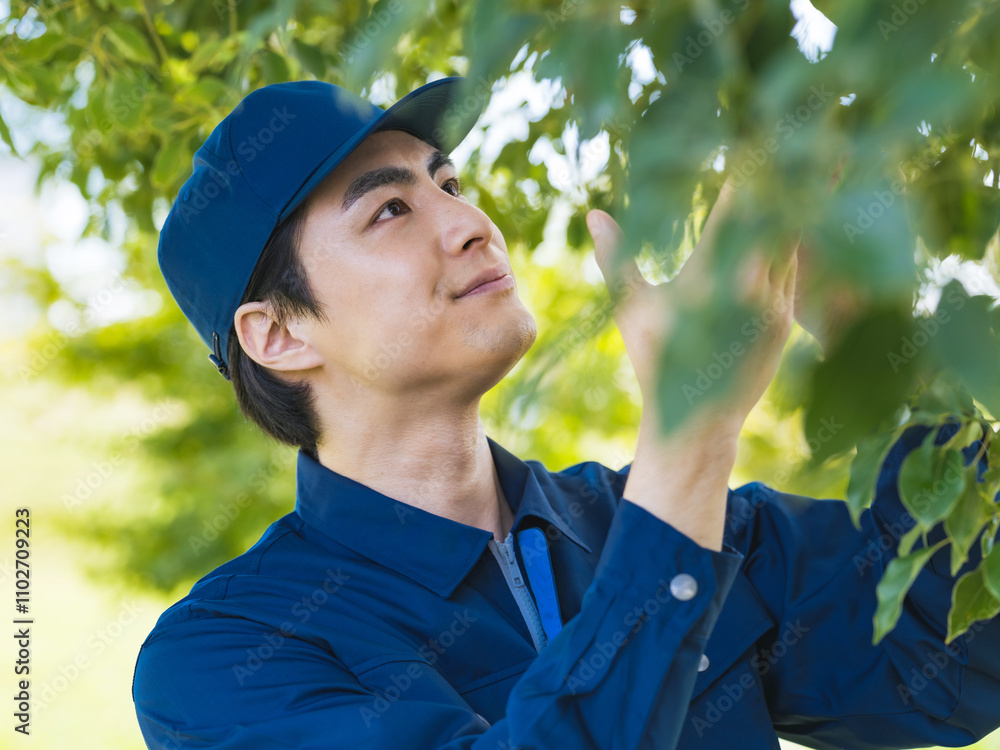 Aufkleber 植物、環境、自然、調査、研究、管理、樹木、病気、農家、観察、果樹園、果樹、植木屋、果物、フルーツ、葉っぱ、庭園、公園、農業、造園、業者、エンジニア、科学者、研究者、新緑、確認、チェック、生物学、バイオテクノロジー、植物学、進化、交配、遺伝子工学、遺伝子組み換え、作物、男性、日本人、作業員、仕事、職業、林業、植物園、ガーデニング、作業服、受粉、生産、摘果、農薬、肥料、人物