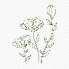 Hand drawn spring flowers illustration. floral illustration