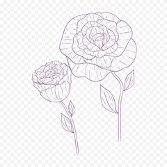 Hand drawn spring flowers illustration. floral illustration