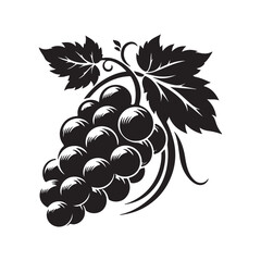 black and white grapes vector