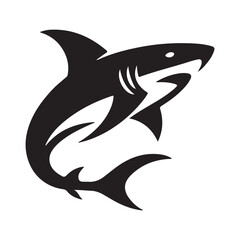 shark illustration