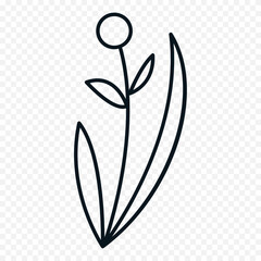 Hand drawn spring flowers illustration. floral illustration